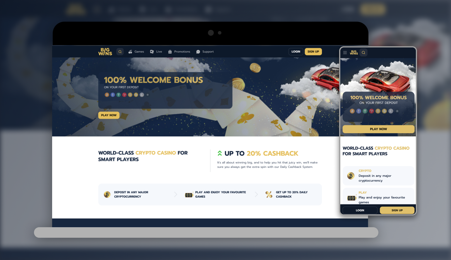BigWin Online casino Live on-line casino Evaluation BigWin Online casino Live on-line casino Evaluation